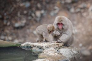 ワーケーションに最適な温泉地はどこですか？
