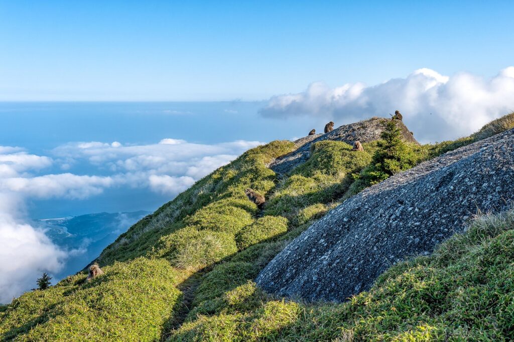 屋久島でワーケーションを楽しむための温泉宿はどこ？