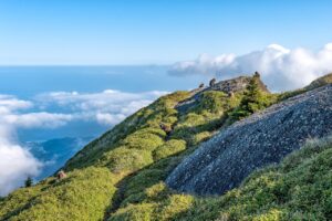 屋久島でワーケーションを楽しむための温泉宿はどこ？