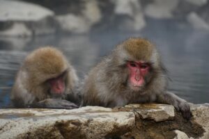 自宅に露天風呂を設置する際のデメリットとは？