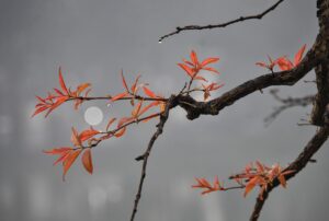 湖畔の温泉でワーケーションに最適な宿は？
