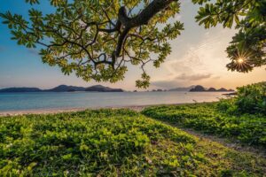 沖縄の自然を楽しめる温泉ワーケーション宿の口コミは？