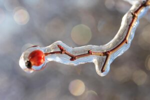 自然に囲まれた温泉離れでのリモートワーク、口コミは本当に役立つ？