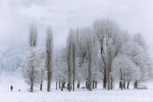 雪景色を楽しむ温泉宿でのリモートワークプランは？
